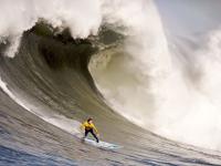 开云下载-赛道与球场，当F1年度争冠焦点战遇上辽宁队收割勇士