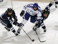 开云官网-当约基奇扛起全队，奇才的防守如何锁死了雄鹿？